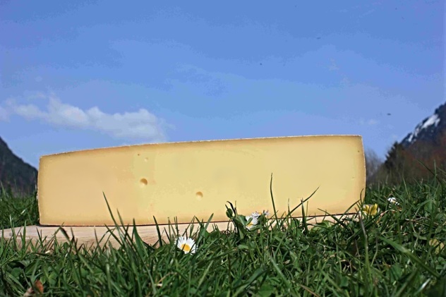 Biologischer Schnittkäse Kanisfluh